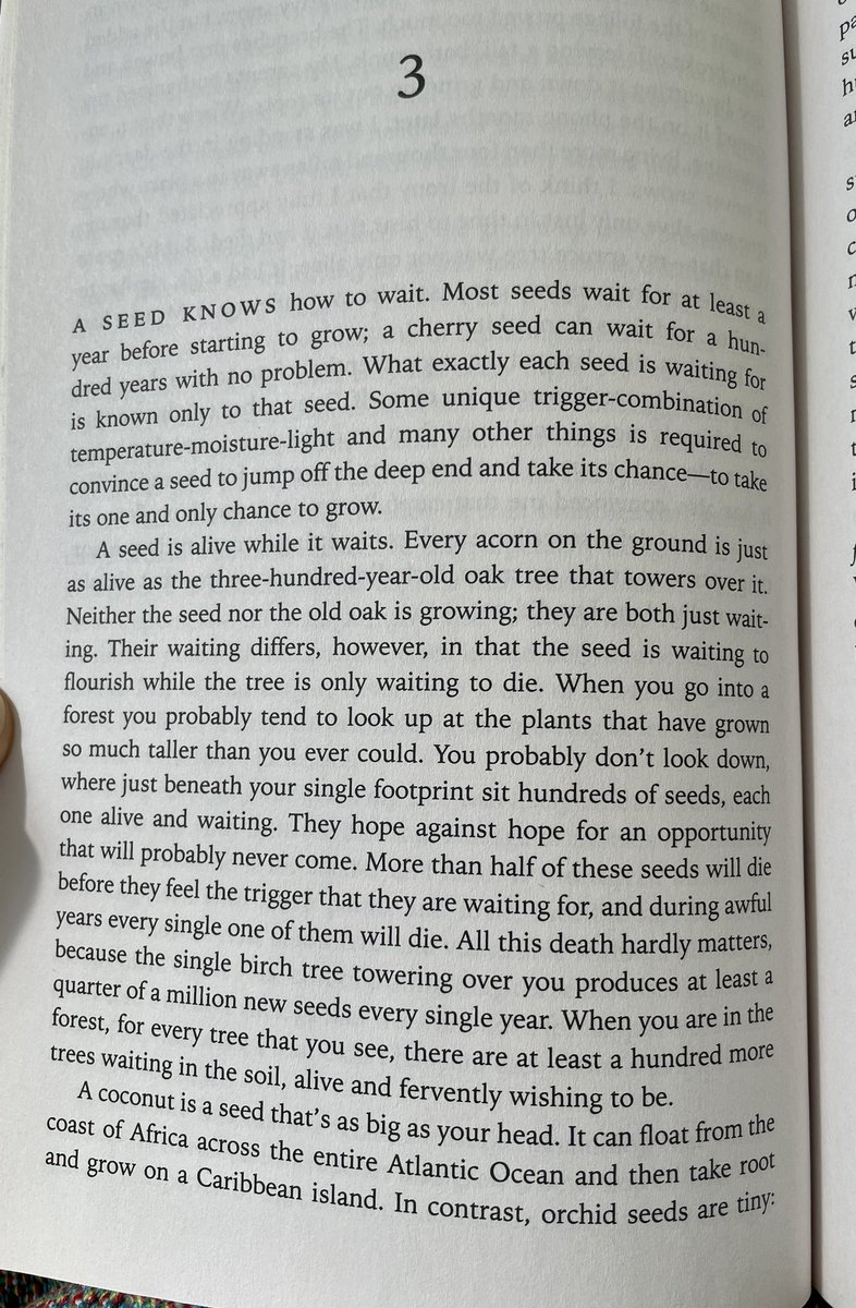 SuglyIster's tweet photo. “In the right place, under the right conditions, you can finally stretch out into what you’re supposed to be.”
“Lab Girl” by scientist Hope Jahren #seeds https://t.co/Goa7fK6DXO