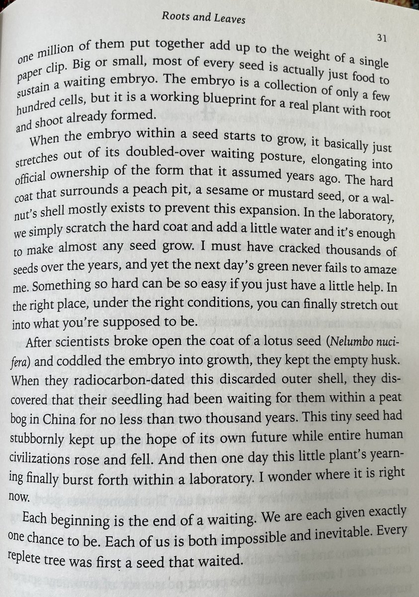 SuglyIster's tweet photo. “In the right place, under the right conditions, you can finally stretch out into what you’re supposed to be.”
“Lab Girl” by scientist Hope Jahren #seeds https://t.co/Goa7fK6DXO