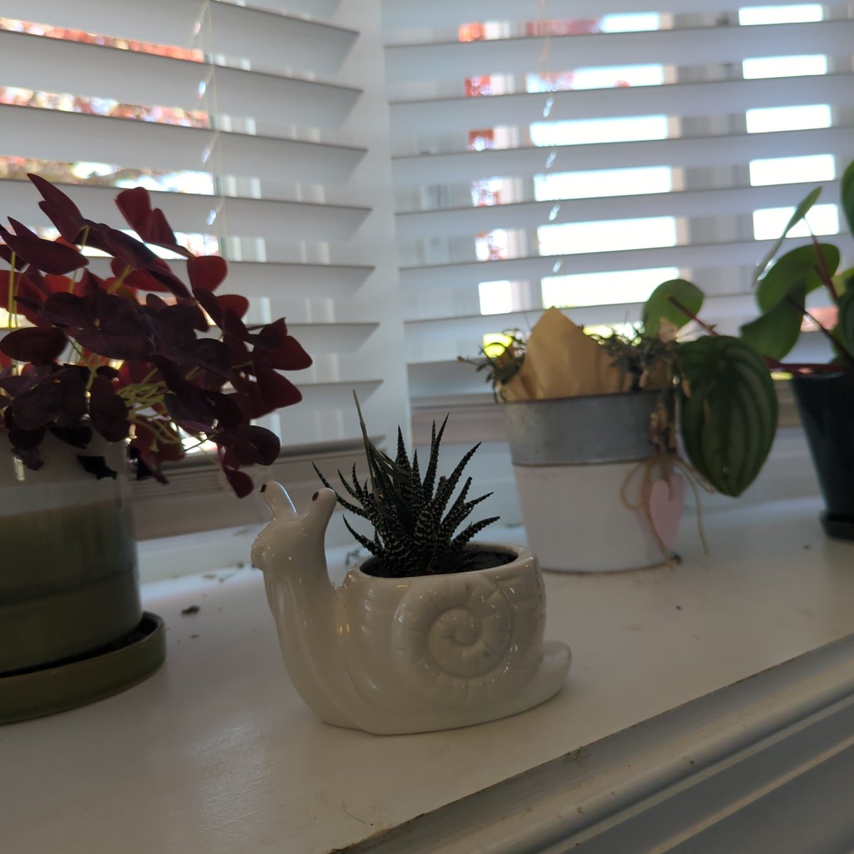 gratefuldeadhed's tweet photo. #gailthesnail @alwayssunny https://t.co/fOjHbhjw8Z