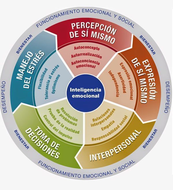 Necesitamos trabajar la inteligencia emocional y la salud mental desde el hogar, en la formación de los niños, los adolescentes y jóvenes. Esa es la base para lograr adultos mental y emocionalmente sanos. Debemos dejar de ser reactivos y ser más preventivos, atacar el origen.