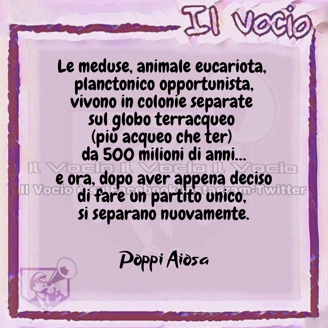 ilvocio's tweet photo. Poppi Aiosa @ajosapoppy #13aprile #ilvocio #Renzi #terzopolo
#Renzi #Calenda #ItaliaViva #azione #separati https://t.co/x26QTWuAKV