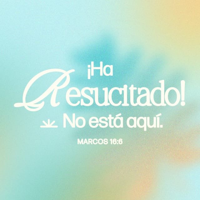 taberdrone_SV's tweet photo. #NoTeRindas  https://t.co/k8LEzqaKJY https://t.co/IHCvOknzuL