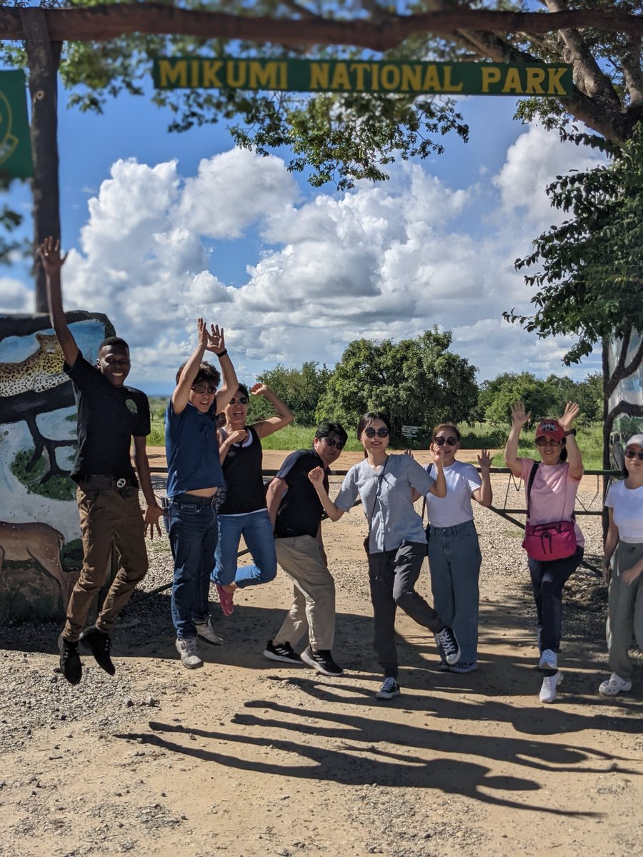 BikotoursC's tweet photo. We are situated near the main gate of @mikumi_nationalpark , and our fellow travelers are getting ready to begin on our first day of wildlife safari in Tanzania's most beautiful national park. 
Visit: https://t.co/v8cSmmwqtl
#travelblogger #safari #AdventureTime #NatureLovers https://t.co/gGmXHipiVP