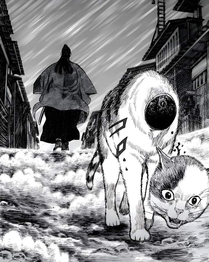 one_piece_x's tweet photo. Do nada????????? https://t.co/snrTNpsGZV