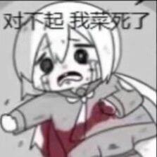 一个赛季pve玩下来 学会了按键开启