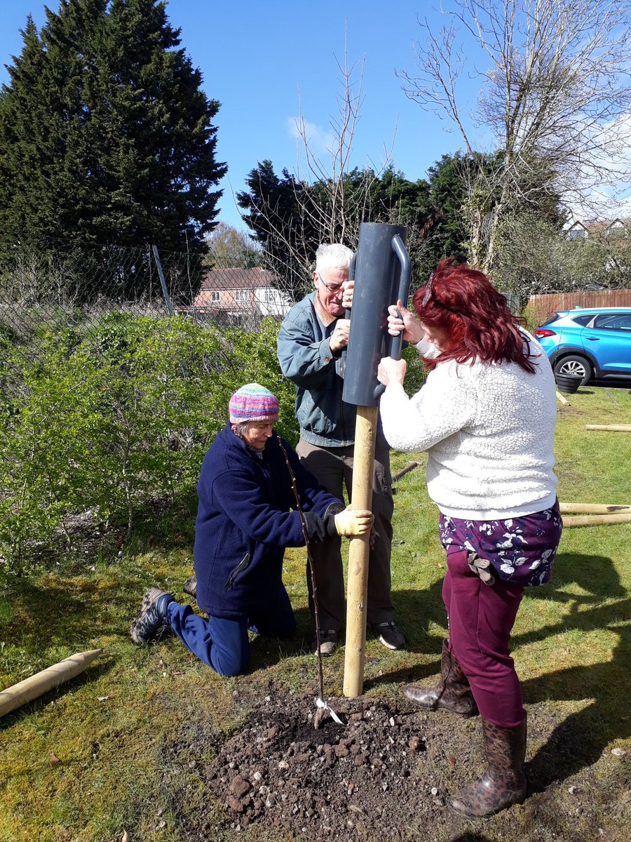 We've been planting bare-root apple trees <a href="/ChristChurchSPk/">Christ Church SPk</a> this morning. The last tree planting of the season? #PlantATreeIn23