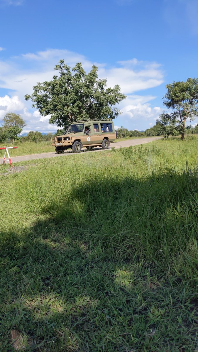 BikotoursC's tweet photo. Finally, the group arrived at @mikumi_nationalpark The squad of travelers that are eager for a once-in-a-lifetime safari has arrived, and we are ready to embark on our 2-day safari and explore the wildlife in this wonderful park.
#safari #AdventureTime #travelblogger https://t.co/WS7tYtGoBL