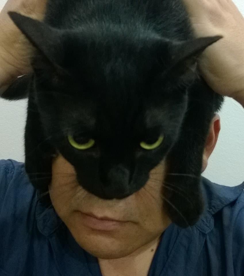 Uncle Bully tweet media