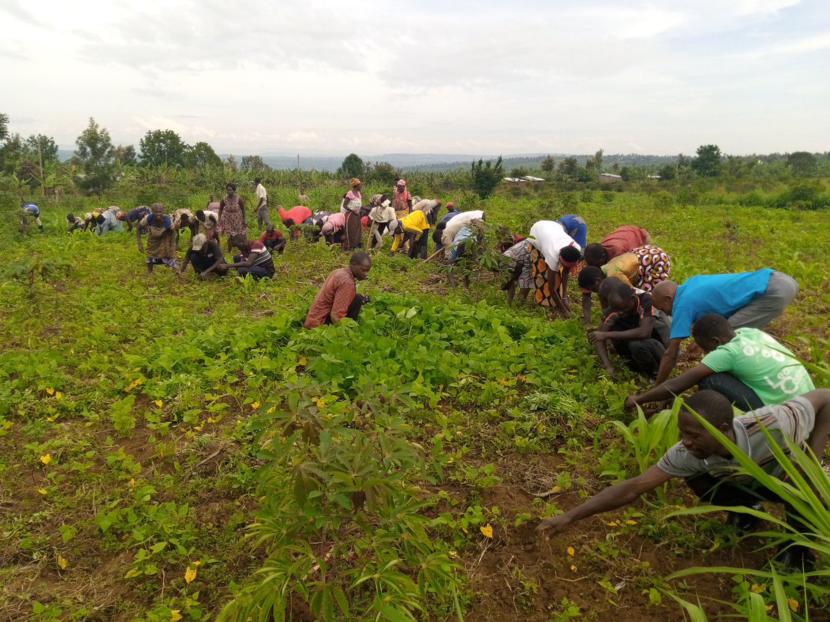 KabezaCell's tweet photo. None kuwa 13/04/2023 mu Akagari ka Kabeza #KabaroreSector murwego rwo kwifatanya n'imiryango yarokotse Jenocide yakorewe abatutsi 1994 twakoze ibikorwa birimo kababagarira Imyaka abayirokotse
@SectorKabarore
#TwibukeTwiyubaka
@RwandaLocalGov
@Unity_MemoryRw
@GatsiboDistrict https://t.co/spdPFZSWLt