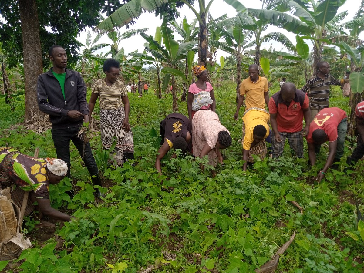 KabezaCell's tweet photo. None kuwa 13/04/2023 mu Akagari ka Kabeza #KabaroreSector murwego rwo kwifatanya n'imiryango yarokotse Jenocide yakorewe abatutsi 1994 twakoze ibikorwa birimo kababagarira Imyaka abayirokotse
@SectorKabarore
#TwibukeTwiyubaka
@RwandaLocalGov
@Unity_MemoryRw
@GatsiboDistrict https://t.co/spdPFZSWLt