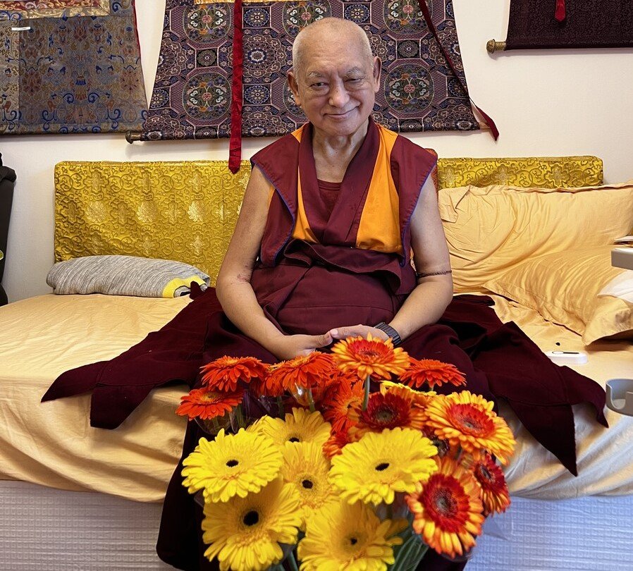 VOT_Tibetan's tweet photo. Thursday 13/04/2023
https://t.co/K538jXHLuQ https://t.co/gkVfQLINGC