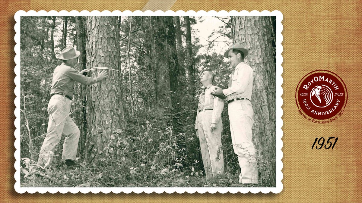 RoyOMartin's tweet photo. ⏳ Throwback Thursday: (1951) Roy O. Martin, Sr. (center), along with foresters Leroy Baxby (left) and John Munsterman, survey trees in the state forest.
#TBT #RoyOMartinTBT #ROM100 https://t.co/jhmctSjxVV
