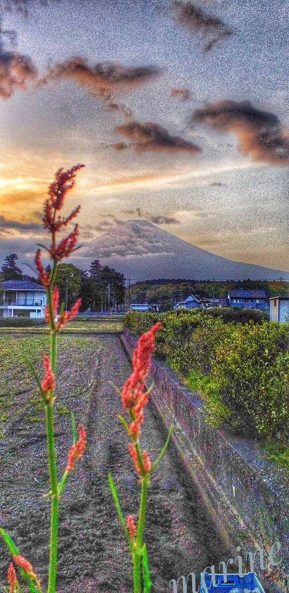 🗻富士山通信🗻 夕暮れの 魔法に かけられて✨✨ 🌿🌿🌿 素敵な夜を おすごしくださいね✨✨✨ ＃富士山
