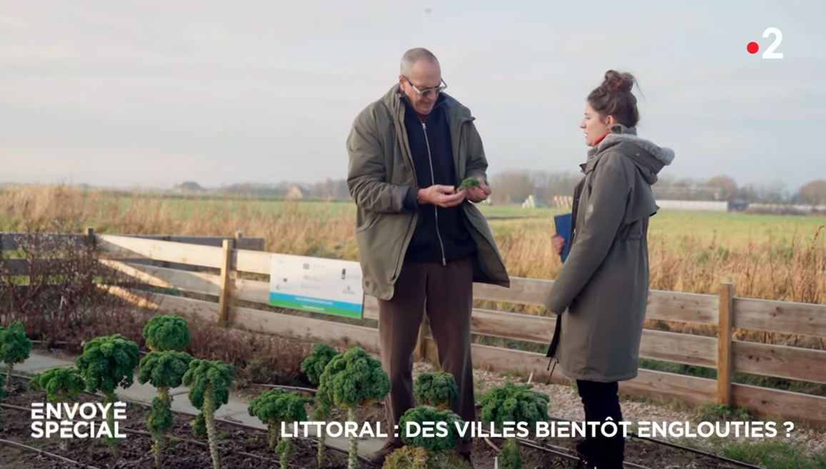 Salt Farm Foundation was onlangs op de Franse televisie te zien. De Fransen keken hoe Salt Farm de bedreiging van verzilting om kan buigen in  en kans door verzilte gebieden geschikt te maken voor zilte landbouw. waddengoud.nl/waddengoud-jou… #waddengastronomie #waddengoud