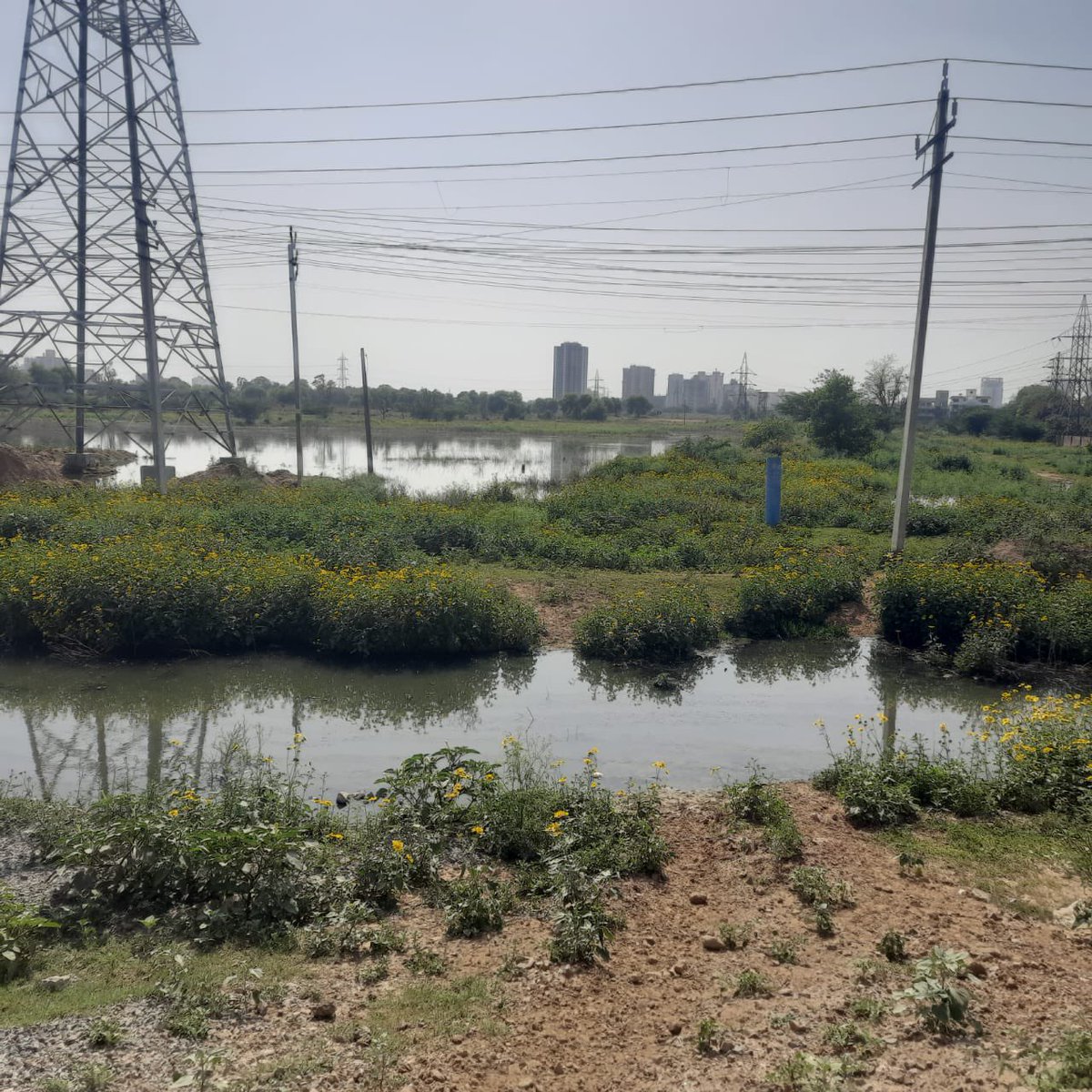 Omveer10's tweet photo. Gurugram:condition of the area near Garhi Harsaru Substation many HT cables are laid. area is filled with Sewage water,overflowing through GMDA sewer line. If a fault occurs in this area how it would be rectified. pls suggest corrective actions @caredhbvn @OfficialGMDA @mdhsiidc https://t.co/qnndc1wWi6