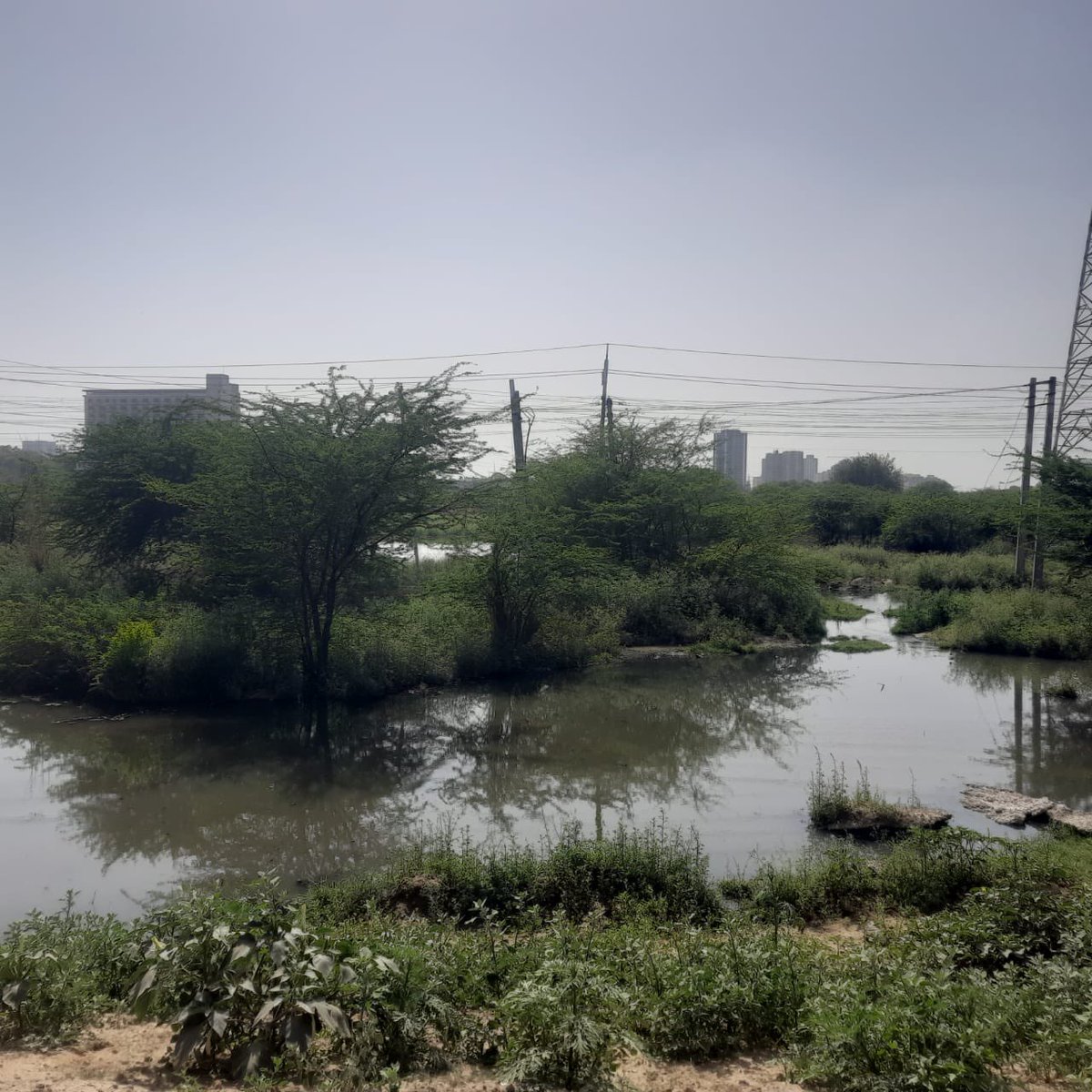 Omveer10's tweet photo. Gurugram:condition of the area near Garhi Harsaru Substation many HT cables are laid. area is filled with Sewage water,overflowing through GMDA sewer line. If a fault occurs in this area how it would be rectified. pls suggest corrective actions @caredhbvn @OfficialGMDA @mdhsiidc https://t.co/qnndc1wWi6