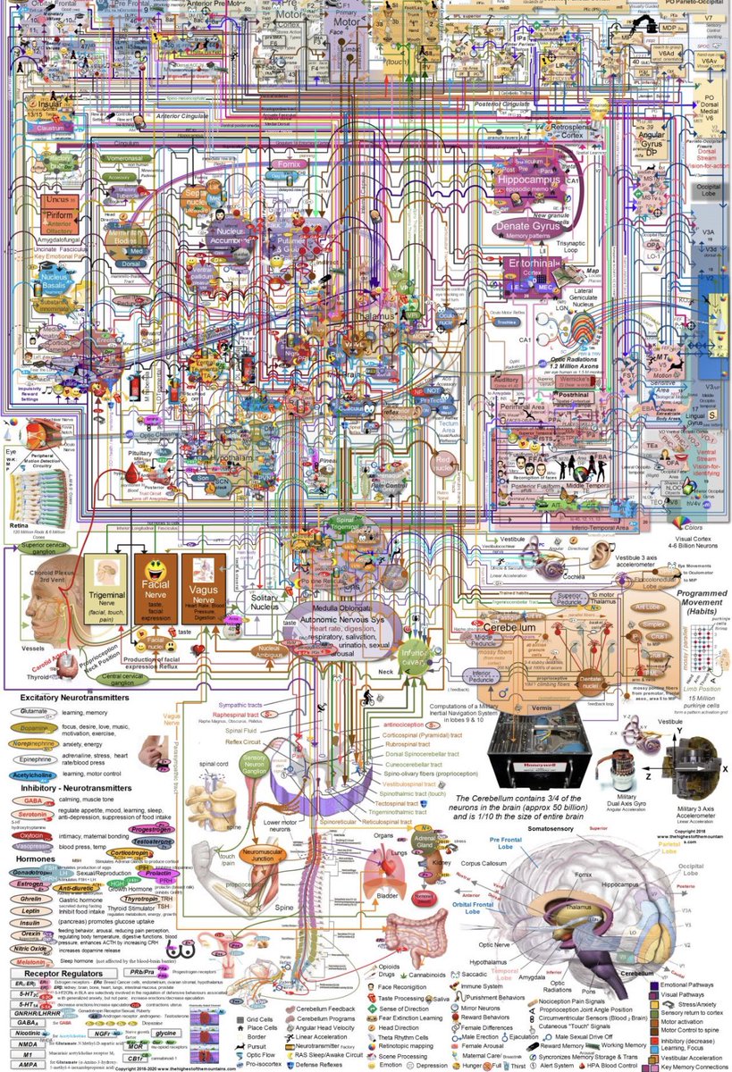 ⚡️🧠 It’s time to reevaluate the cognitive burden placed on physicians (and medical students) in the context of AI. #medicine #AI #digitalhealth #GPT3 #GPT4 #ChatGPT