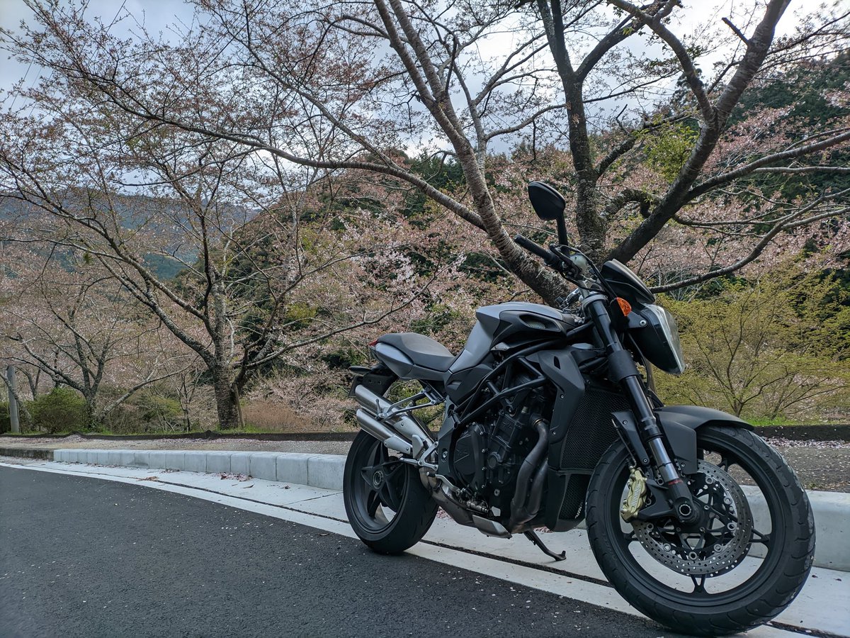 性別　男
年齢　21
車種　MVアグスタ　ブルターレ920
#バイク乗りとして自己紹介 
#バイク好きな人と繋がりたい 
#バイク乗りとつながりたい 
#和歌山バイク
#和歌山