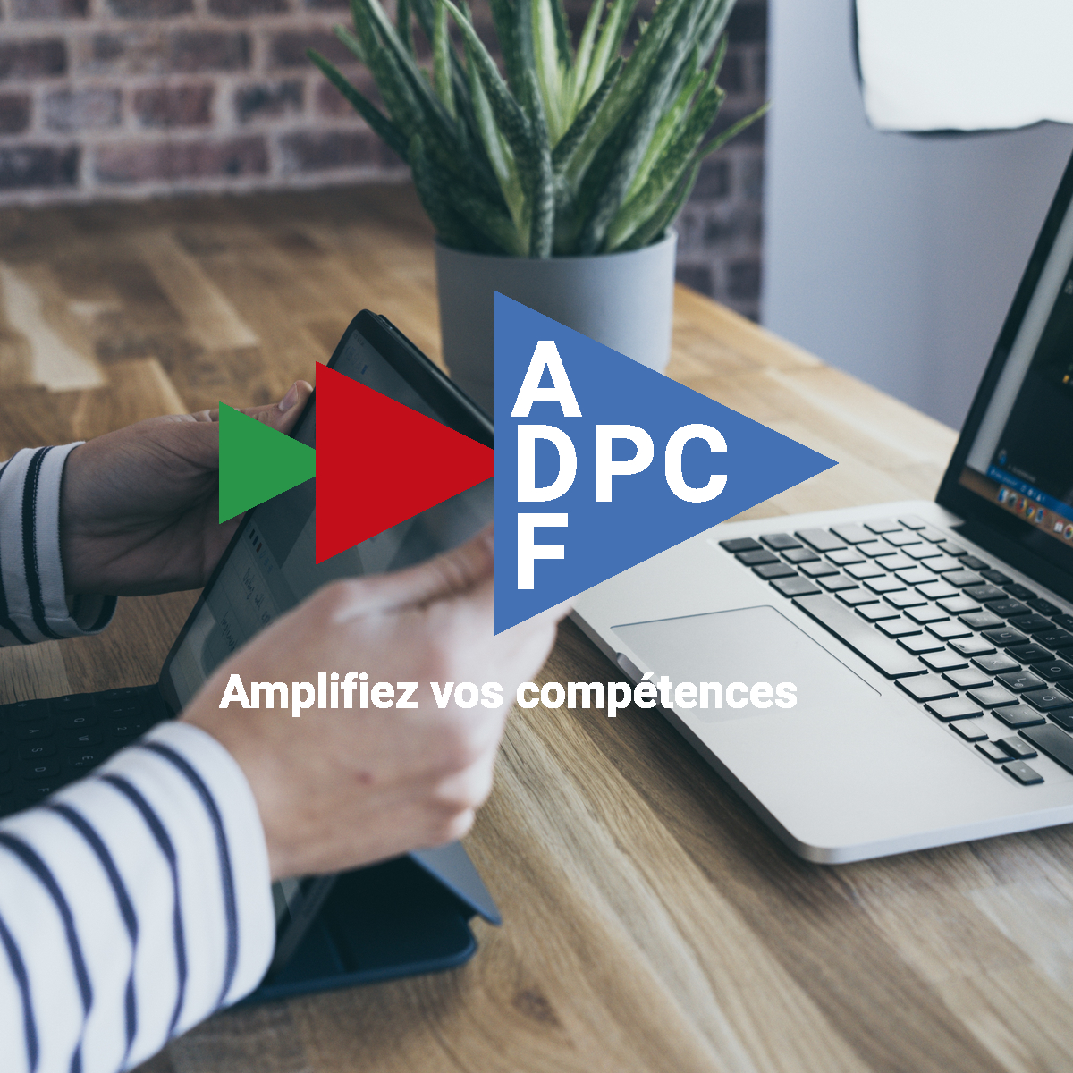 adfasso's tweet photo. Paro, traumato 🦷, dentisterie adhésive ou édenté total, quelle #DPCenligne allez-vous choisir ? Avec #ADFDPC-Formation, formez-vous auprès d’experts renommés, actualisez vos connaissances, amplifiez vos compétences ! 💪
Prochaine session dès le📆15/05
👉https://t.co/AftsyPJuCu https://t.co/PhOdFCZeFc