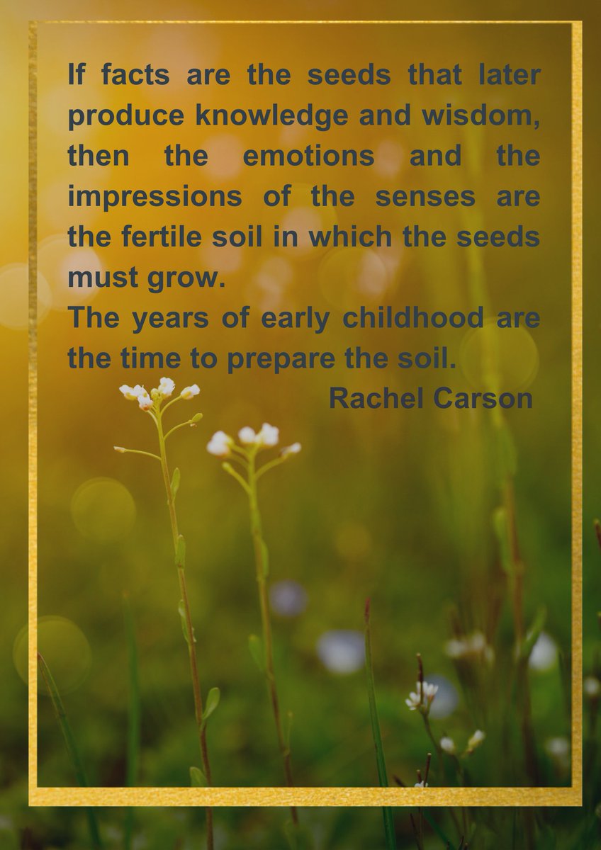 Have you been outside today, noticed the nature around you?🌻🌳🪺
Children have an innate curiosity & wonder in the natural world. Spending time outside & noticing nature helps them understand & connect with their environment #NatureConnection #TeamELC 
Share your nature photos👇