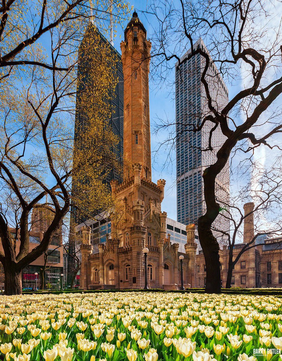 barrybutler9's tweet photo. Chicago Spring at the Water Tower, 10 years ago.   Throwback Thursday for 2013.  #chicago https://t.co/iwfN2vIDyO
