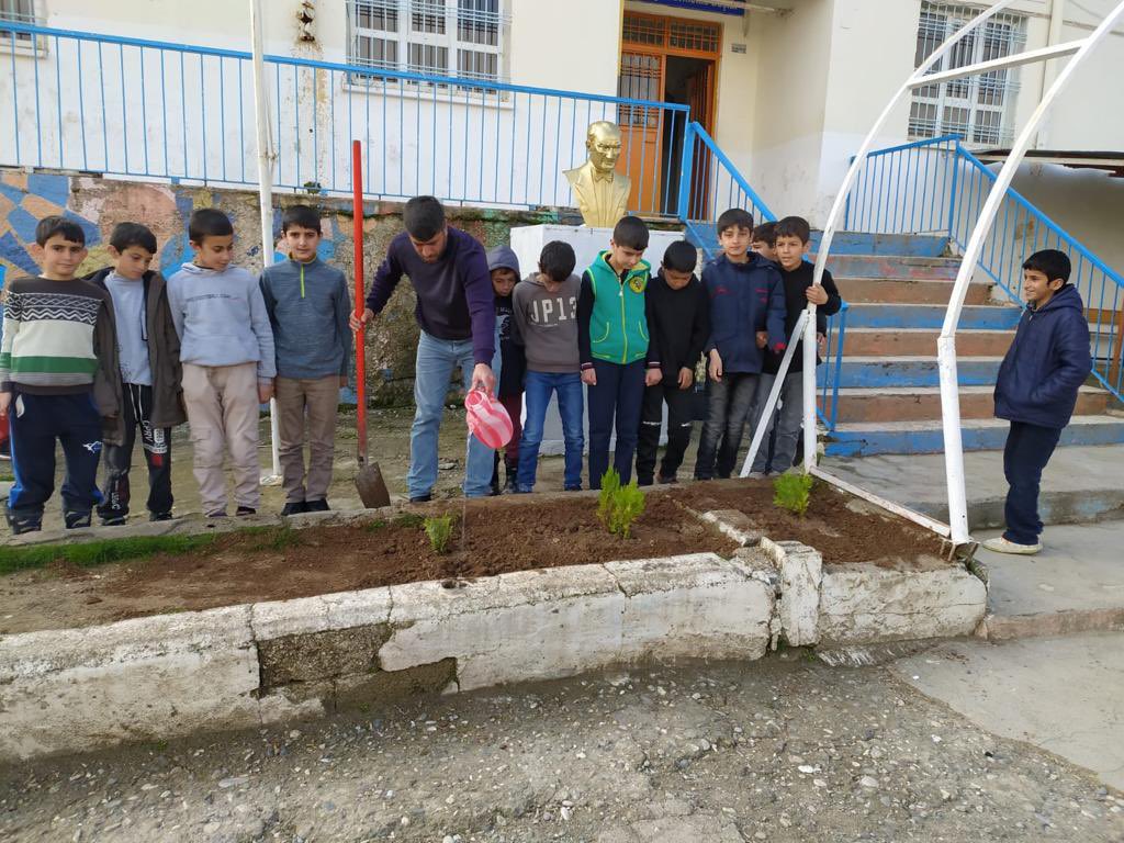 SehitFasih's tweet photo. Okulumuzda orman haftası kapsamında fidan dikimi yapıldı. https://t.co/6QvqOXDURz