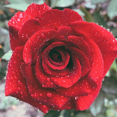 SafaAlhabsi1992's tweet photo. #NewProfilePic https://t.co/EYMswwDUz4