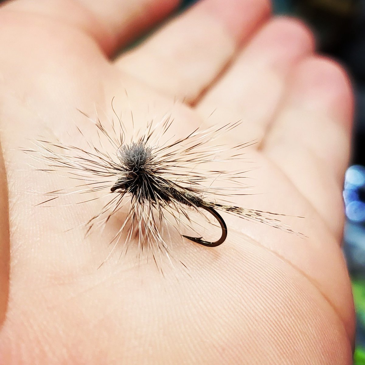 TheFlyOhioans's tweet photo. Dry on @mustadfishing REF94840 #10
#flytyingporn #flytyingnation #flytyingaddict #thetugisthedrug #tyingflies #flyfishing #flyfishingjunkie #flyfishingaddict  #troutbum #flyfishinglife #trout #fishing #dryflytying #dryfly #flytying #dryflyfishing #troutfishing #dryflyordie https://t.co/1iMGLZyWu1