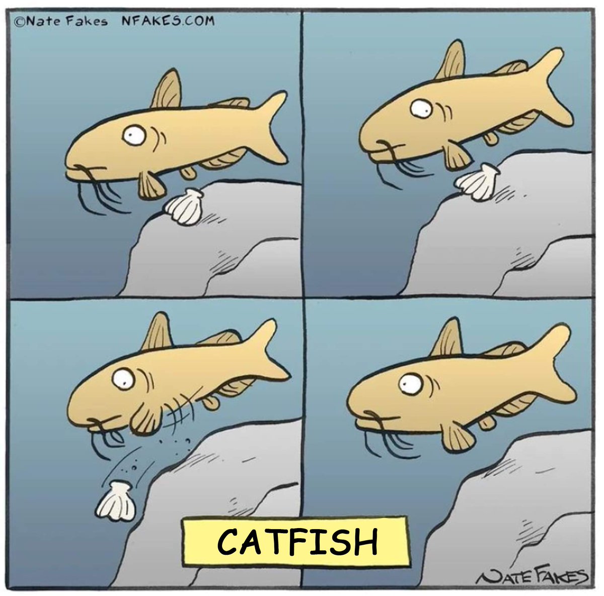 j_hummus's tweet photo. #veganhumor #veganmeme #veganmemes #animalhumor #animalshumor #animalmeme #animalsmeme #animalsmemes #fishhumor #fishjokes #fishmeme #fishmemes #catfish https://t.co/xoxLSiv6eX
