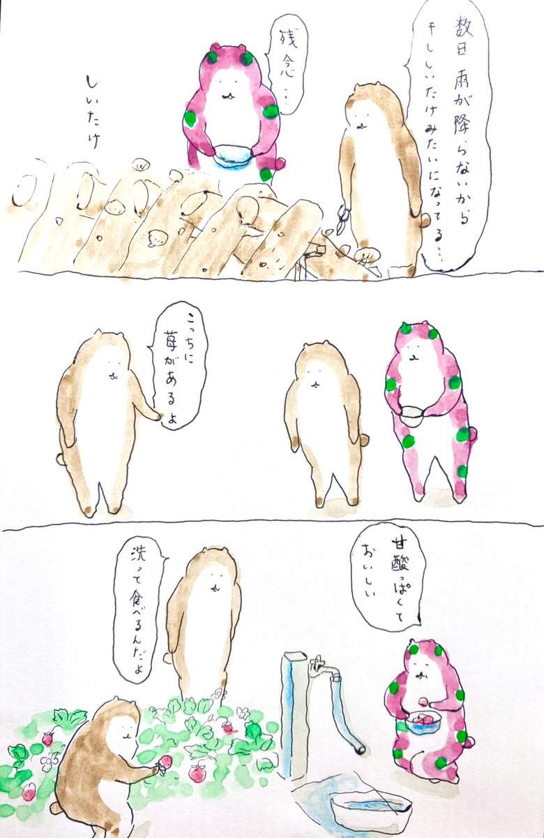 苺
#bubuchiyo絵日記 
