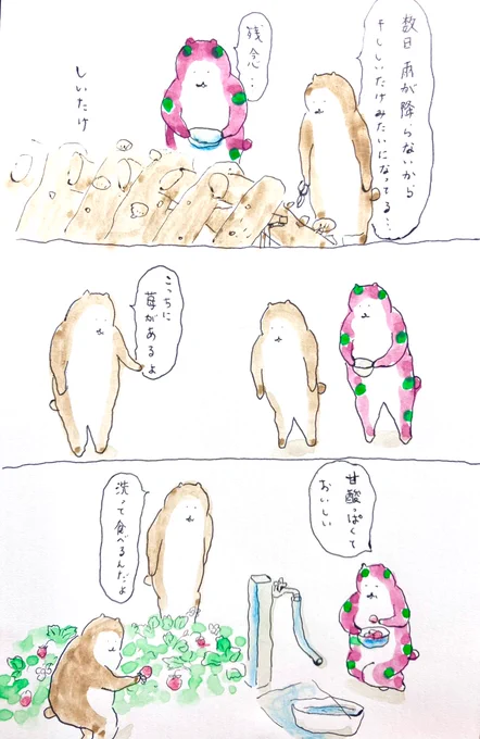 苺
#bubuchiyo絵日記 
