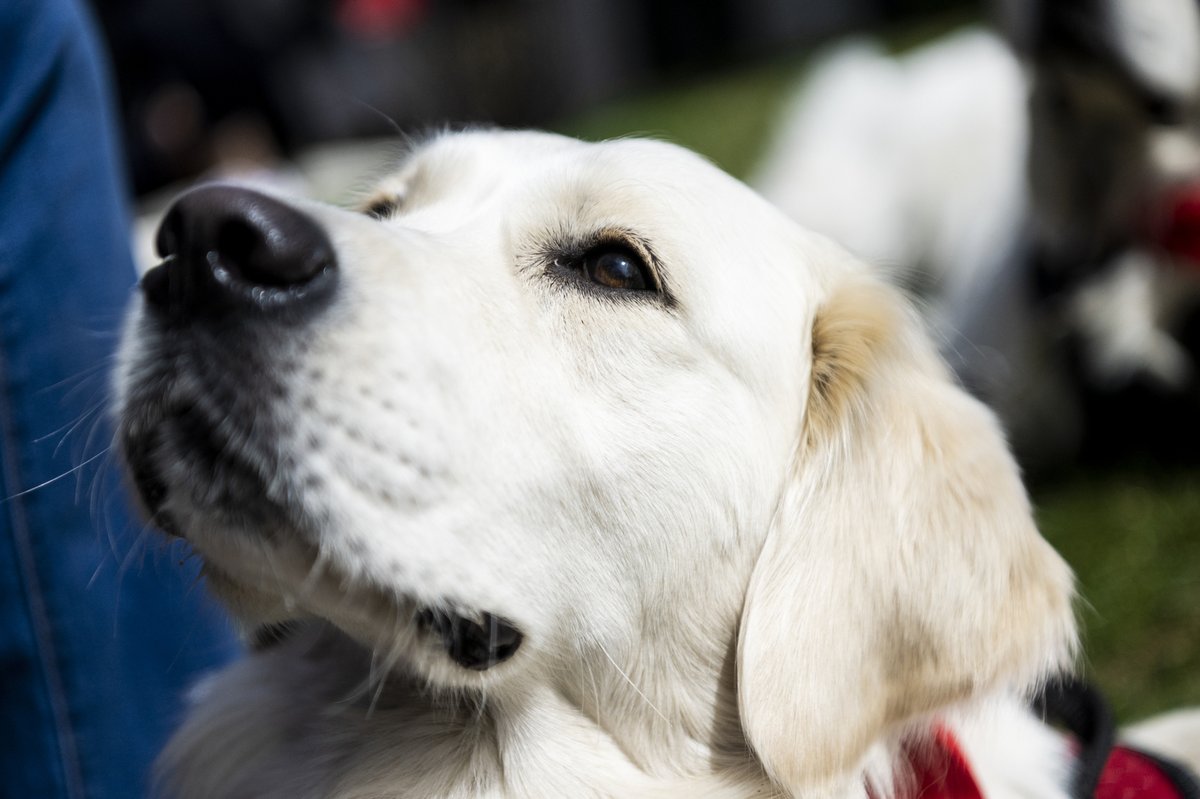 Northeastern University tweet media