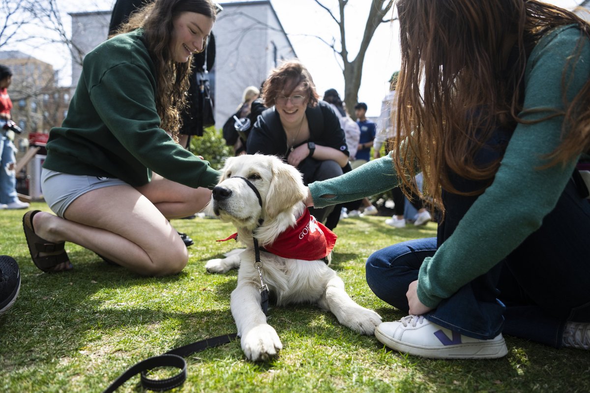 Northeastern University tweet media