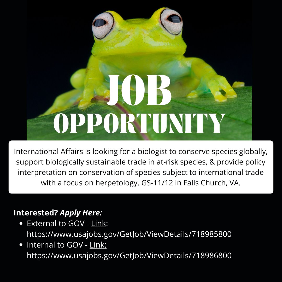 USFWSIntl's tweet photo. Job Alert! We're looking for a GS-11/12 biologist to join our Division of Scientific Authority to conserve species, support biologically sustainable #wildlifetrade, and provide policy interpretation on species conservation in trade w/focus on #herpetology. https://t.co/NIhturZsvD https://t.co/IjSIydUwvU