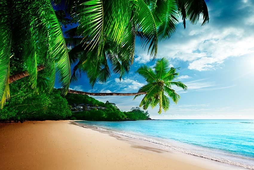 ✅ Tem LISTA no blog! 

 A Tanzânia não tem só belas praias. Reunimos 5 Curiosidades Sobre Esse País Que Você Talvez Não Saiba

👉 Link: swiy.co/DKD8

#tanzania #viagens #lugaresparaconhecer #turismo #africa
