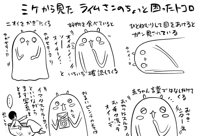 ミケから見たライムさん。 
