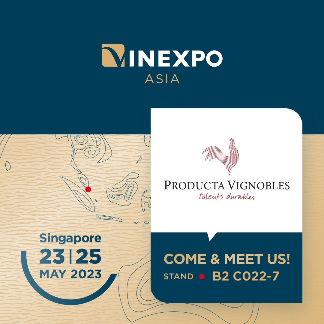 ProductaVign_'s tweet photo. Producta Vignobles will participate to the #VinexpoAsia exhibition, from 𝟐𝟑 𝐭𝐨 𝟐𝟓 𝐌𝐚𝐲  in Singapore. Our teams will be pleased to welcome you on our 𝐛𝐨𝐨𝐭𝐡 𝐧°𝐂𝟎𝟐𝟐-𝟕 𝐝𝐮 𝐡𝐚𝐥𝐥 𝐁𝟐 to present you our innovations! 

 #ワイン
#フランスワイン #ボルドーワイン https://t.co/RXCNNGlZd9