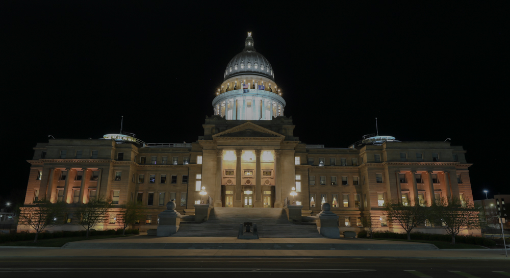 Jimmy Minichello tweet media