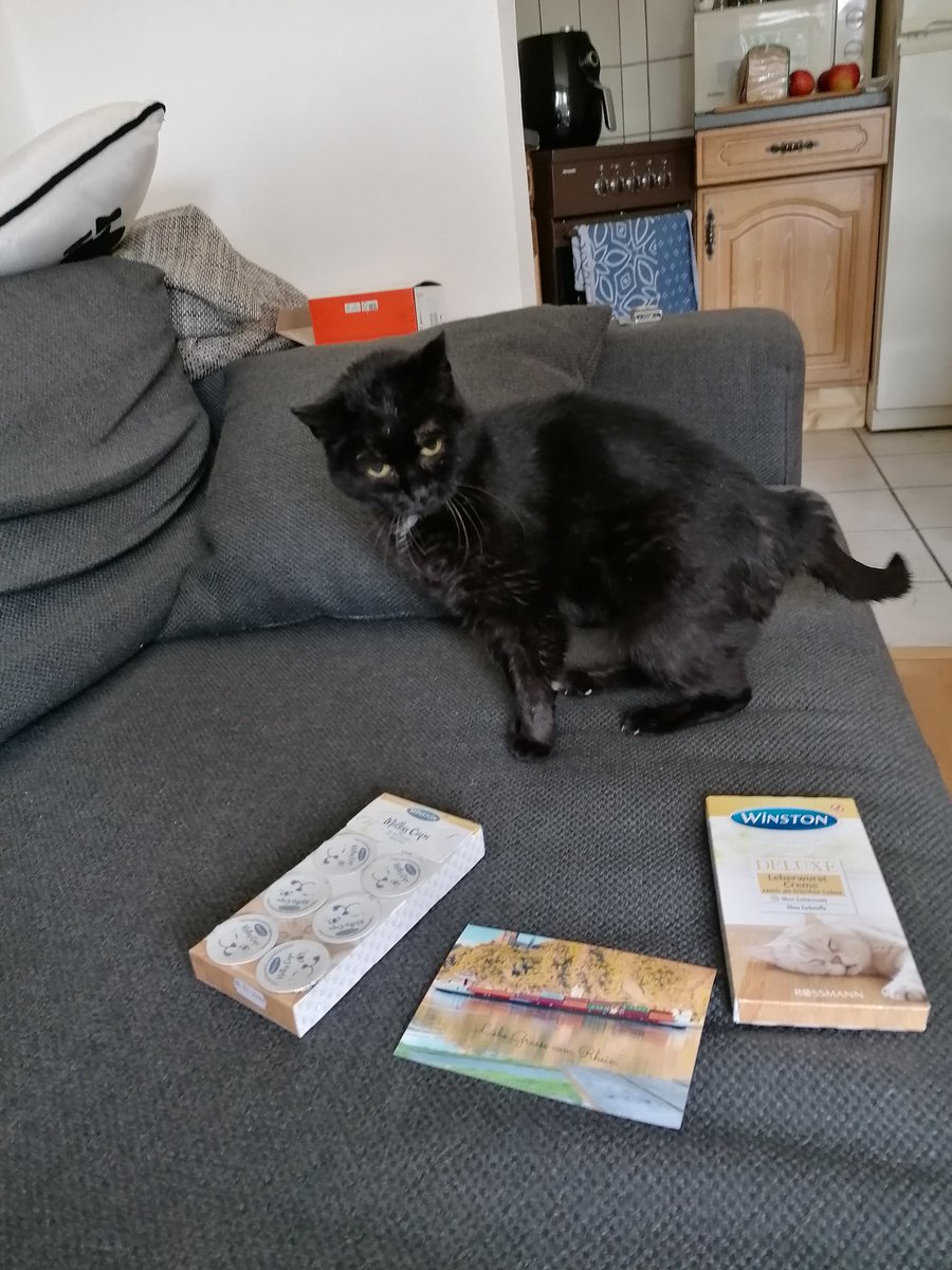 HeikeElsing's tweet photo. Hallo @SpockiSenfhund! Daaanke für den lieben Spezialgruß! Jemand Lust auf Schlecki Party?
Die Zweibeinerin freut sich über das Container Schiff, als das letzte Mal aktiv auf dem Rhein war (vor 25 Jahren), waren die cool und modern. Daaaaaanke https://t.co/mRuj0pnobx