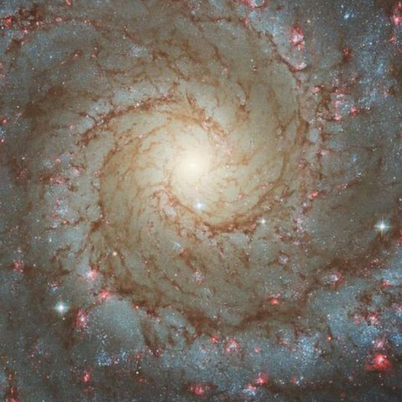 emurithik's tweet photo. ☀️🌌Sunlight takes~8 mins 20 secs to reach Earth - we're seeing the sun's past! Imagine the stars &amp; galaxies light-years away, showing us events from millions of years ago. Truly awe-inspiring. Share your favorite #Astronomy facts!
Alfred Keter #AndrewKibe Saibato Miguna https://t.co/pJ8nBwBS59