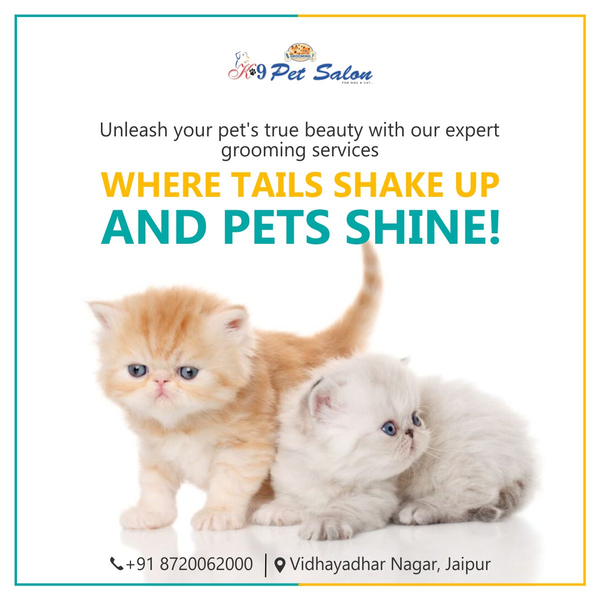 k9petsalon jaipur (k9petsalon) / Twitter