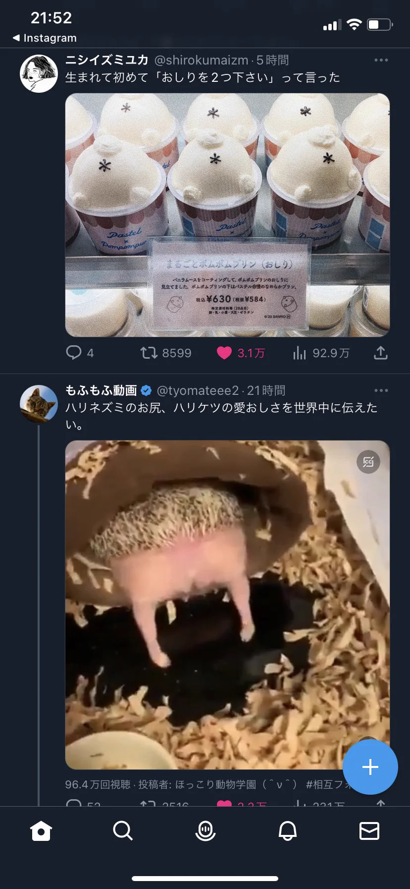 @shirokumaizm おしりの奇跡…起こってました笑 