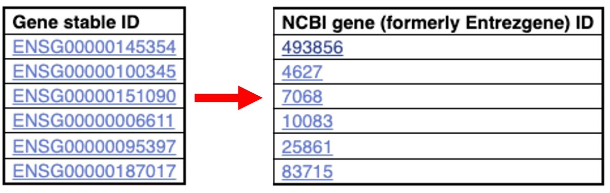 ensembl's tweet photo. 1/ Do you have a list of @ensembl IDs that you want to convert to IDs from other databases?
Here's how you can retrieve the @NCBI gene IDs from a list of #Ensembl IDs. A thread...π§΅
#genomics #bioinformatics #tweetorial #Ensembltraining 𧬠https://t.co/3zbtOm3WQ1