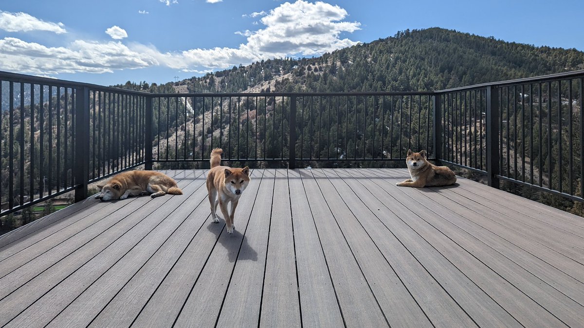 Kimling Lam tweet media