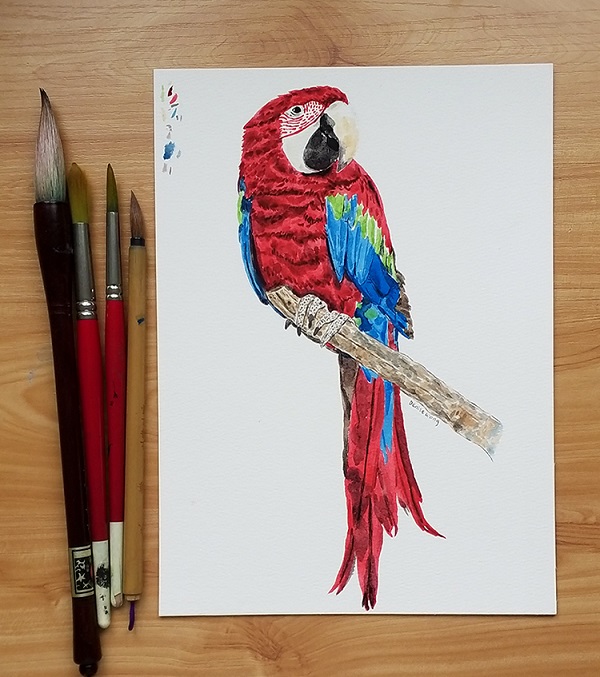 Macaw watercolour painting. 😊
Painted this a few months ago. 

#bird #birdart #birdpainting #watercolour #painting #art #parrot #artist