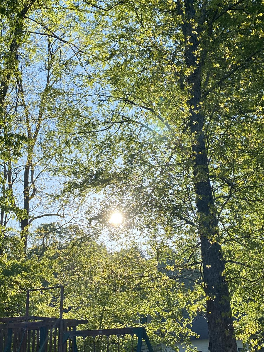 prayers_org's tweet photo. Righteousness is like a shield of protection, guarding those who keep their integrity, but sin is the downfall of the wicked. (Proverbs 13:6) #PTAM #TruthMatters #Pray https://t.co/GanlLtpMPH