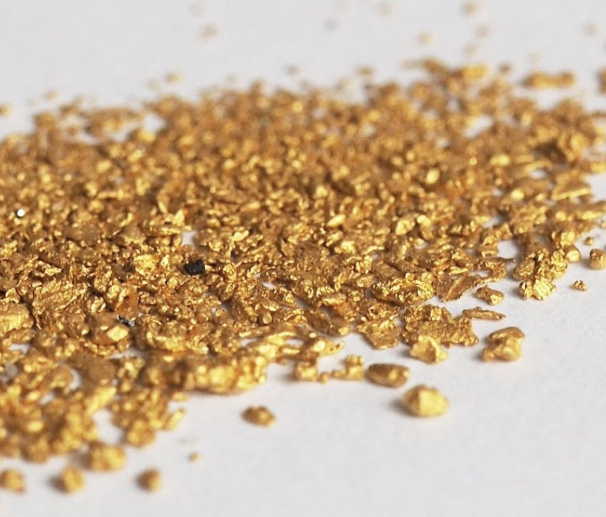Fairmined's tweet photo. What is Ecological gold? Why aren’t all Fairmined mines certified as ecological?
Read this article by @ORIGENgoldfor in partnership with the Alliance for Responsible Mining (ARM)@responsiblemine
#Responsiblemining #ASM #GoldMining #artisanalGold
https://t.co/KK8QxDQr6z https://t.co/sBem4bQdVV