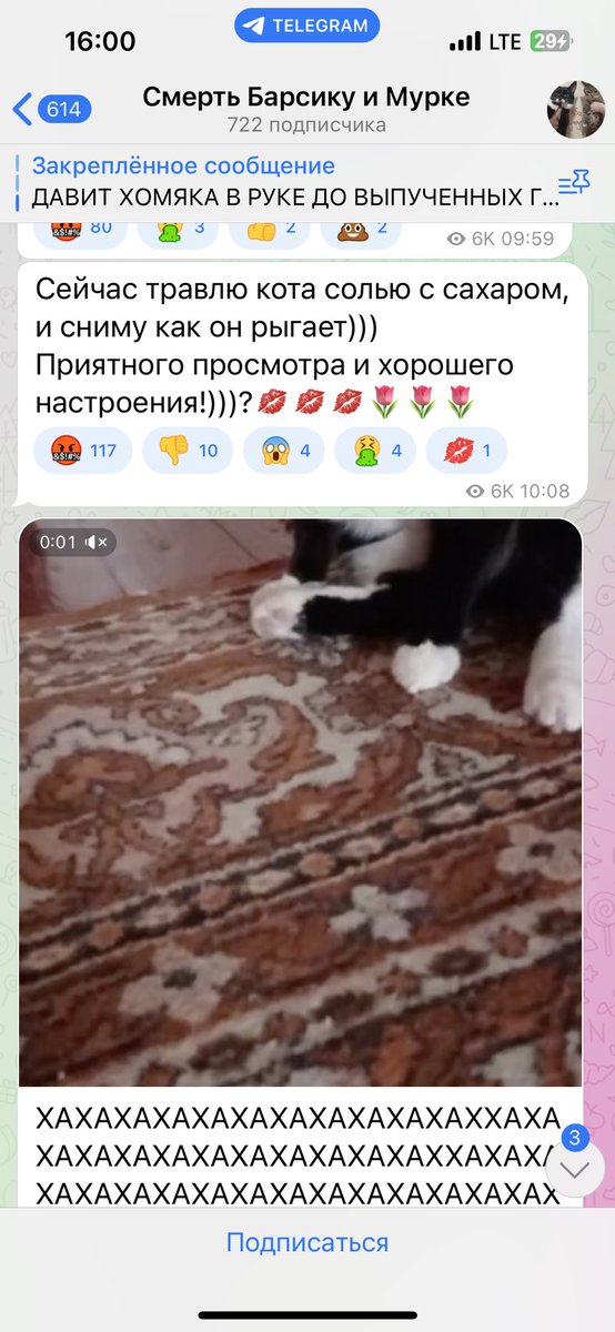 piypiy32's tweet photo. Сила твиттера,кажется пора дать пизды очередным живодерам. https://t.co/IKBFOT21o4