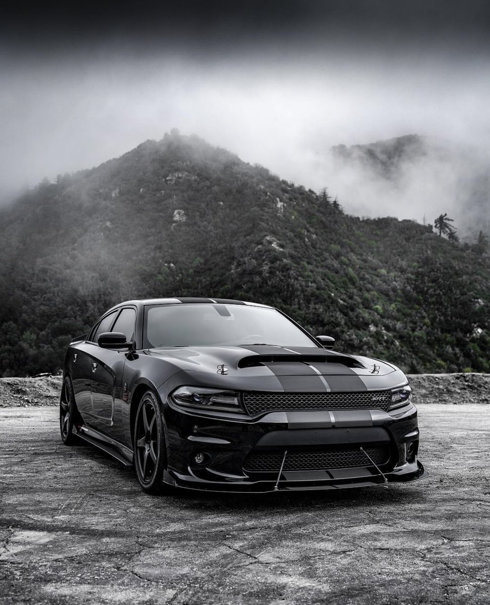 Dodge tweet media