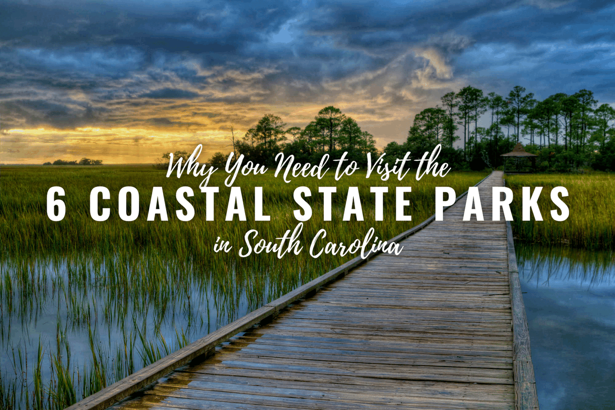 South Carolina’s coast is home to more than just beautiful beaches and charming towns - it’s also where you’ll find six stunning state parks. @Discover_SC @SC_State_Parks Read about the coastal parks at roadtripsandcoffee.com/coastal-state-…